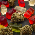 Surprising benefits of cannabis edibles and gummies you can buy online