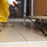 The Importance of Pest Control Services for Households