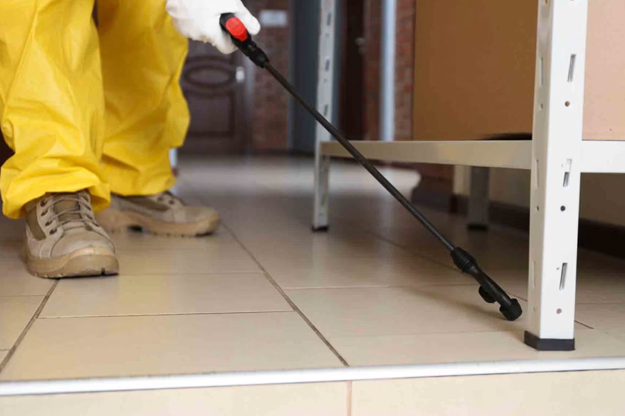 The Importance of Pest Control Services for Households