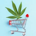 Are you looking for the best online store for cannabis shopping