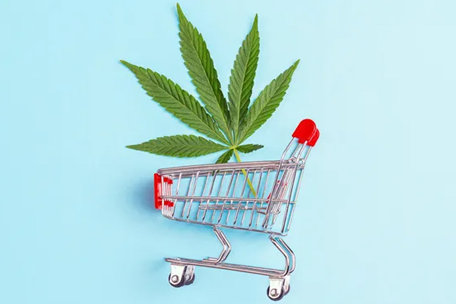 Are you looking for the best online store for cannabis shopping