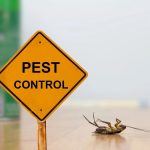 How to Compare Pest Control Quotes