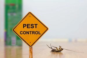 How to Compare Pest Control Quotes