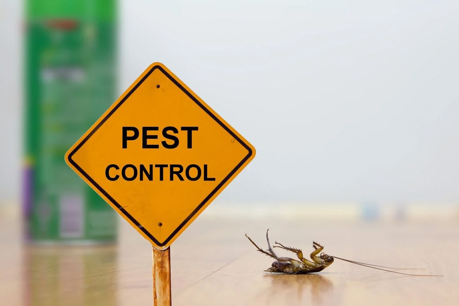 How to Compare Pest Control Quotes