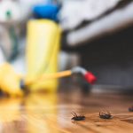 Pests are harmful for human health animals plants and property Heres the best solution