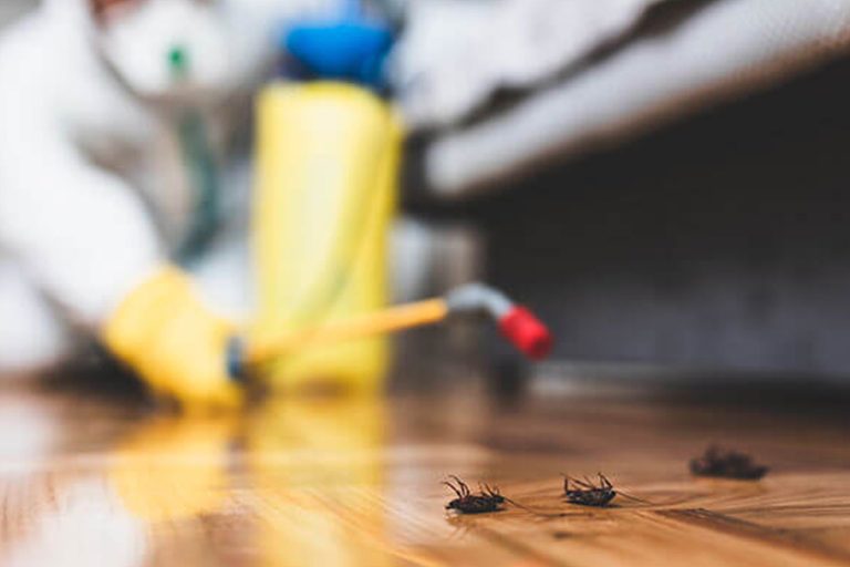 Pests are harmful for human health animals plants and property Heres the best solution