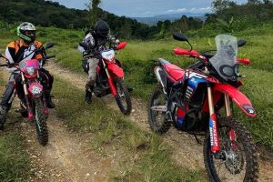 The Liberation of Rental Motorbikes