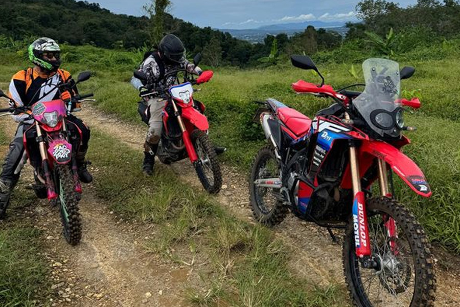 The Liberation of Rental Motorbikes