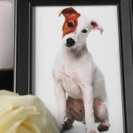 Water vs Flame Cremation Understanding the Differences