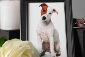 Water vs Flame Cremation Understanding the Differences