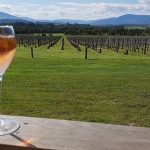 Healesville vs Yering Station vs De Bortoli Which Wineries Are Worth Stopping At