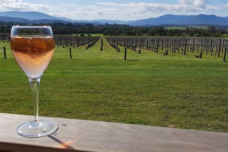 Healesville vs Yering Station vs De Bortoli Which Wineries Are Worth Stopping At
